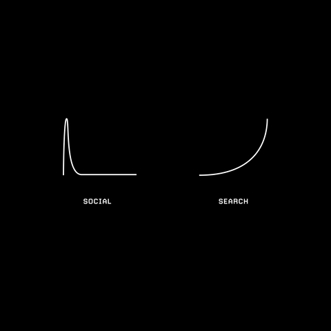Social vs. Search